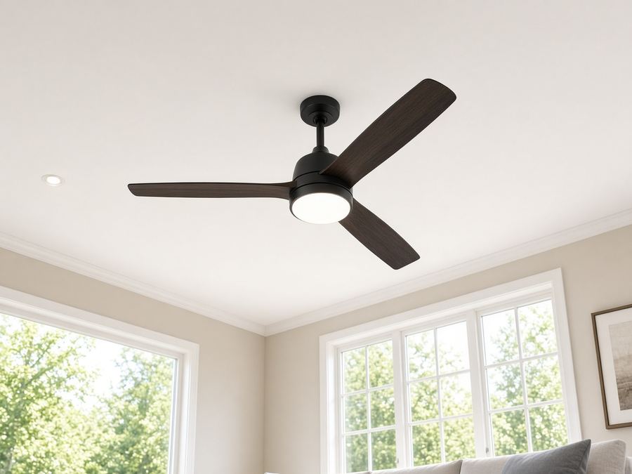 Sample photo: ceiling fan